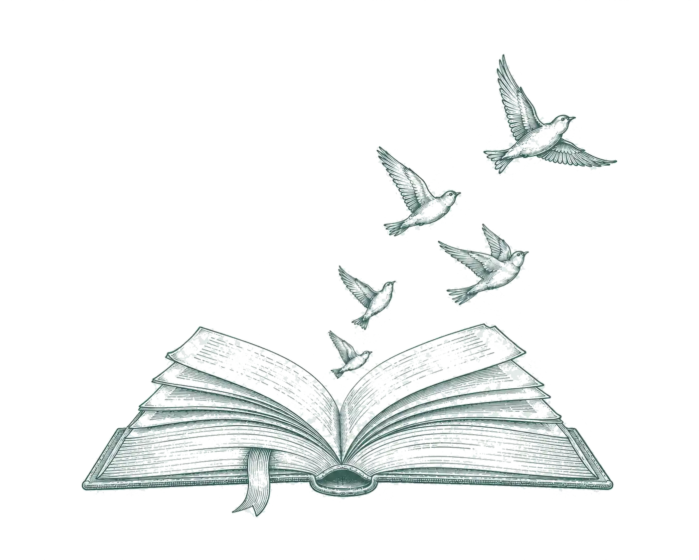 livre oiseaux